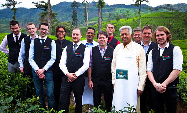 A Photo of Tea Experts in a Tea Plantation