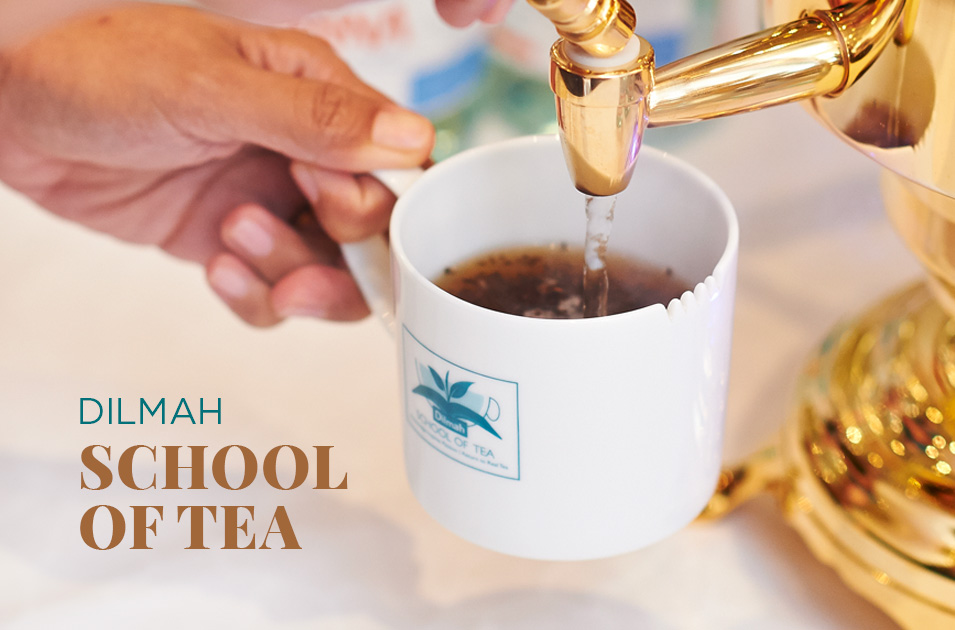 School of tea 