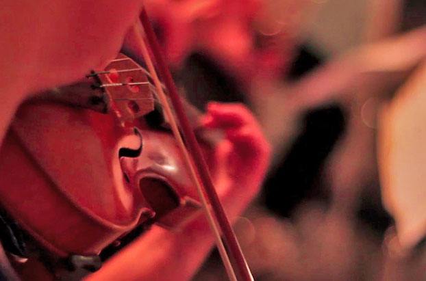 Violin Being Played A Person Playing the Violin
